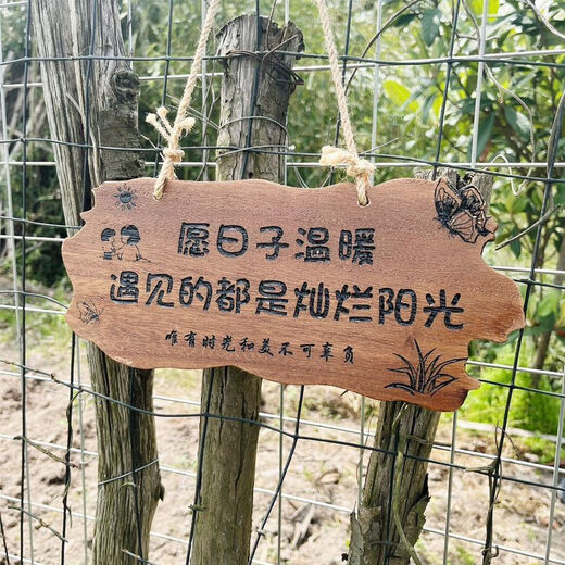 Solid wood customized garden tree sign, courtyard door sign, creative new Chinese style decorative sign, internet celebrity outdoor lettering, style 6, original warm days, 30*14CM regular style