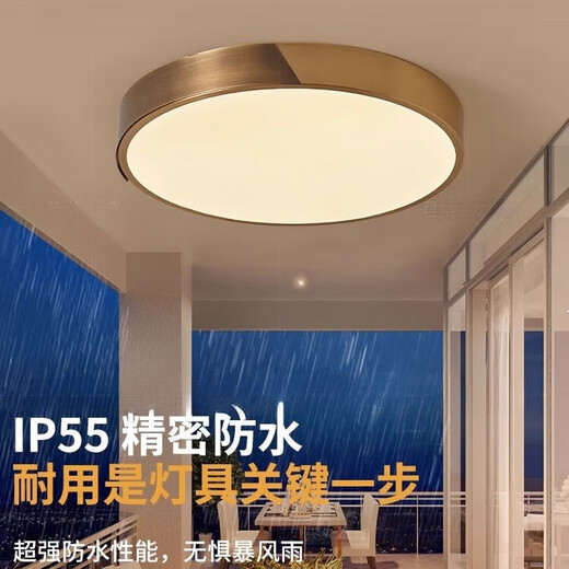 禾灵全铜别墅大门吸顶灯户外露台防虫门头灯超薄门前灯照明入户进门灯 X3889/30CM/三色可调