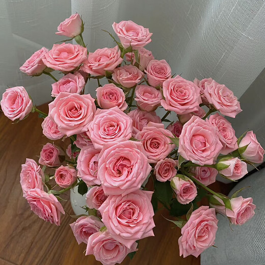 5 small and exquisite multi-headed roses in random colors