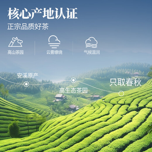 Eindruck von Jiangnan Tieguanyin Tee Geschenkbox 255g Oolong Tee Fujian Anxi Festival Geschenkbox Geschenkbox Geschenk an Eltern und Älteste Lotus Rhyme