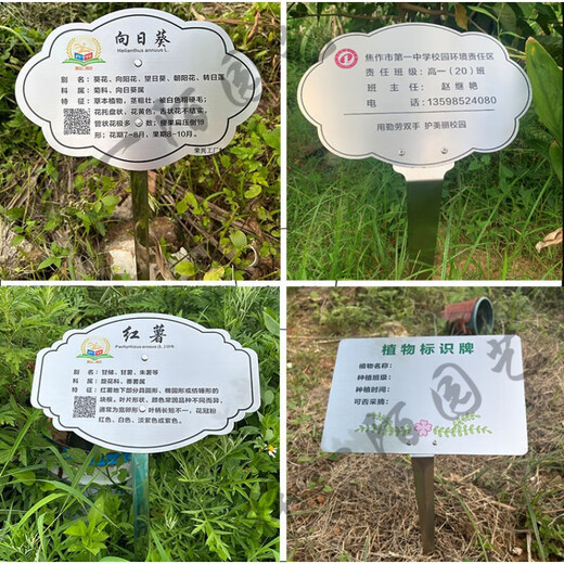 Customized stainless steel tree sign scenic spot plant greening flower sign tree introduction hanging sign ground sign 20x30cm