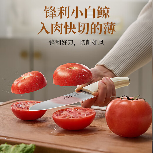 ASD Messerset Küche Haushalt Kompletter Satz Hackmesser Obstmesser Scherenhobel Edelstahl Scharfes Küchenmesser Schneidebrett Kombination Weißes Walmesser 7-teiliges Set