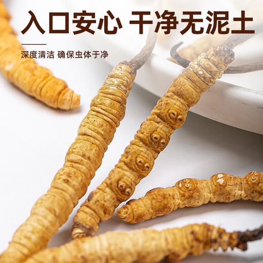 聚和泰头茬冬虫夏草礼盒新年货节过节送礼品礼物家人长辈老人滋补营养品 【4根/克 20根-5克】送礼推荐