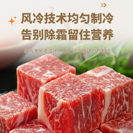 澳柯玛（AUCMA）231升立式冰柜冷柜风冷无霜一级能效家用母乳冷藏全冷冻抽屉式单开门小冰箱BD-231WNE 国家补贴