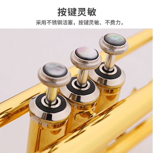 Jinbao Professional Trompete JBTR-050 Anfänger Spielstufe Kinder Erwachsener B-Roil Paint Gold Trompete Instrument