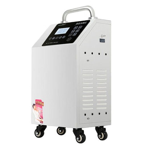 Fogha 10g 20g tempered touch panel remote control timing 304 material ozone disinfection machine ozone generator food factory school water sterilization 1510A-Y (CM) 10G