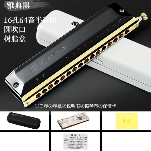 国光半音阶口琴12孔48音C调16孔高级专业演奏初学者成人儿童小学生 16孔 C调 国之梦磨砂黑（圆口标配）