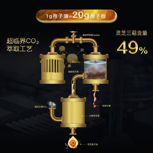 北京留寿堂有机灵芝孢子油软胶囊破壁灵芝孢子粉浓缩精华萃取高含量成分好吸收健康增强免疫滋补送好礼品礼盒 孢子油60粒/盒【实测三萜49.5%】