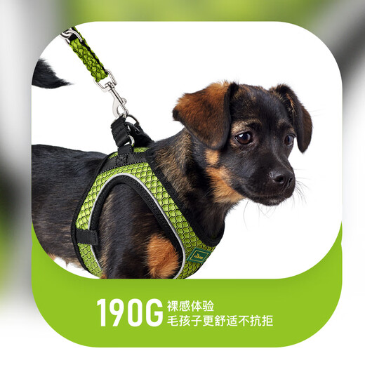 HUNTER Germany imported 3D dog leash, reflective and breathable hunter leash, dog leash can be led diagonally, bright orange - classic style, adjustable leash length 200cm