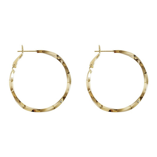 Idel Hong Kong Style Earrings Fashion Earrings Korean Temperament Internet Celebrity Circle Personality Simple Cold Style Women 2025 Fashion Earrings Golden Korean Style E0016