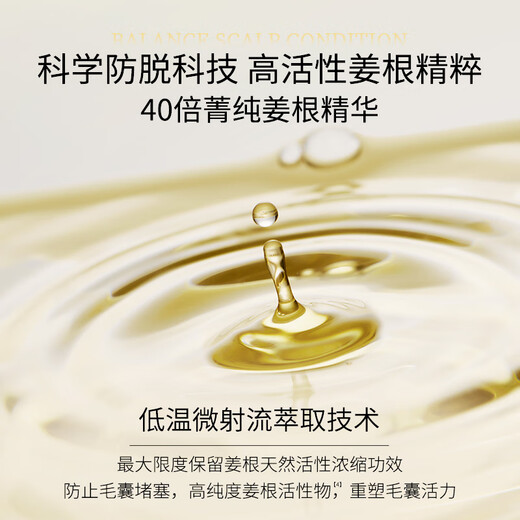 Ziyuan Anti-detachment Strong and Tough Oil Control Shampoo 1055ml Ginger Hair Solid Set Orchidaceae Shampoo Silicone Oil-free Shampoo