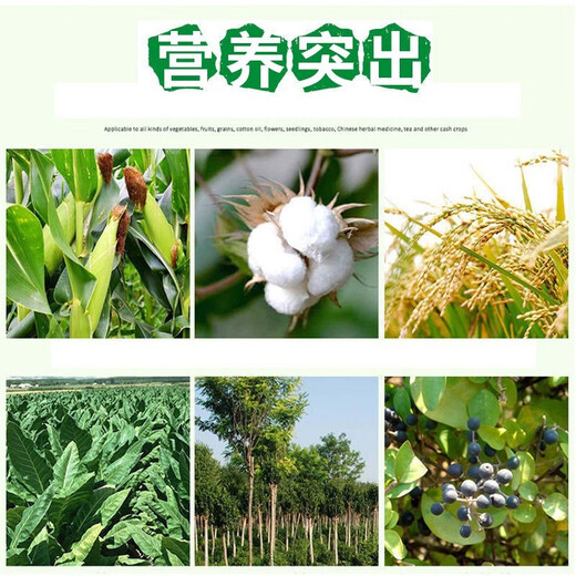 Цзяншань Рухуа кальций магний бор цинк железо средний элемент листовое удобрение водорастворимое удобрение фруктовые деревья овощи цветы китайские лекарственные материалы полевые листовые удобрения Шуофэншоу кальций магний бор цинк железо 1 бутылка 1000 мл