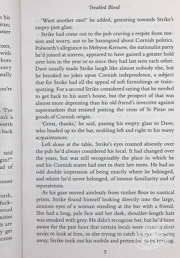 神探斯特莱克5 真血 Troubled Blood Cormoran Strike Book 5 英文原版 Robert Galbraith 推理 惊悚