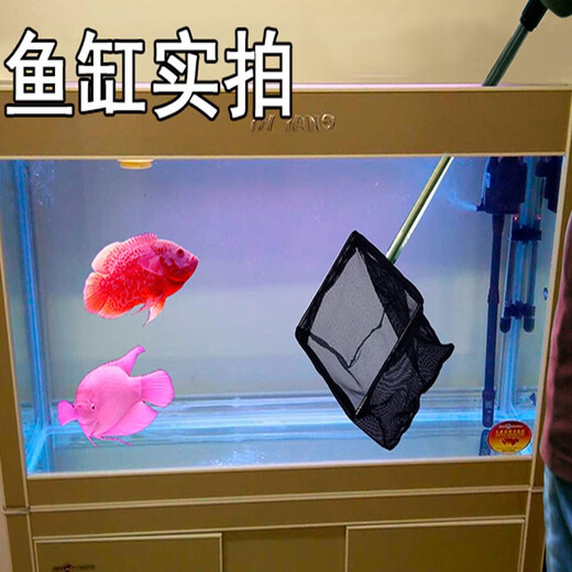 Fisherman's retractable fishing net, koi fish pond, landscape pond, leaf fishing net, fishing net, pool net, net (20*18)cm, total length 1 meter retractable