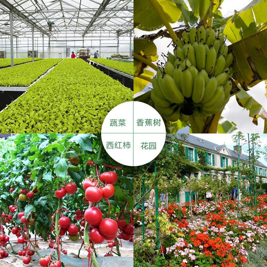 Baoyi 99% potassium dihydrogen phosphate flower and green plant foliar fertilizer fertilizer general water-soluble fertilizer for field vegetables and fruit trees 500g/bag