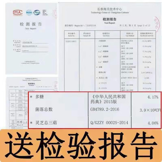 Ganjunzhuang Changbaishan Ganoderma lucidum spore pulver massen 500g