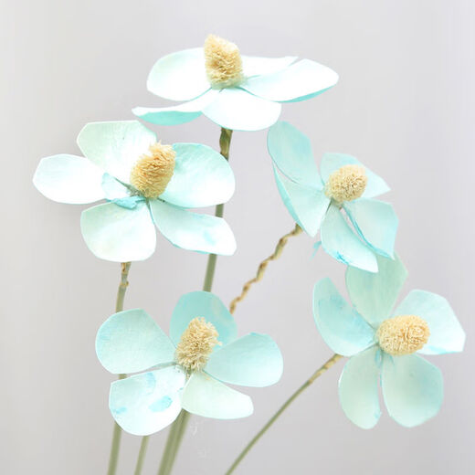 AIMAN natural chrysanthemum dried flowers real flowers air-dried ins Internet celebrity flower decoration ornaments literary flower arrangement Nordic decoration violet light blue 10 pieces