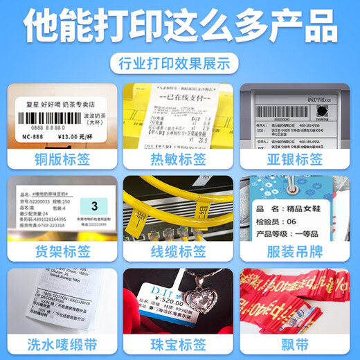 得力（deli）条码标签打印机蓝牙热转印碳带票据服装吊牌标签超市价格快递单电子面单不干胶贴纸打印机 DL-825T（电脑版）