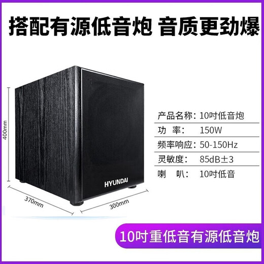 Hyundai Modernes Heimkino-Gesangsmaschine KTV Audio Set High-Power-Verstärker Karaoke Home Singing Equipment Wohnzimmer Konferenzraumkartenpaket Lautsprecher [Professionelle Version] 10-Zoll-Audio-Gesangsmaschine + 10-Zoll-Subwoofer