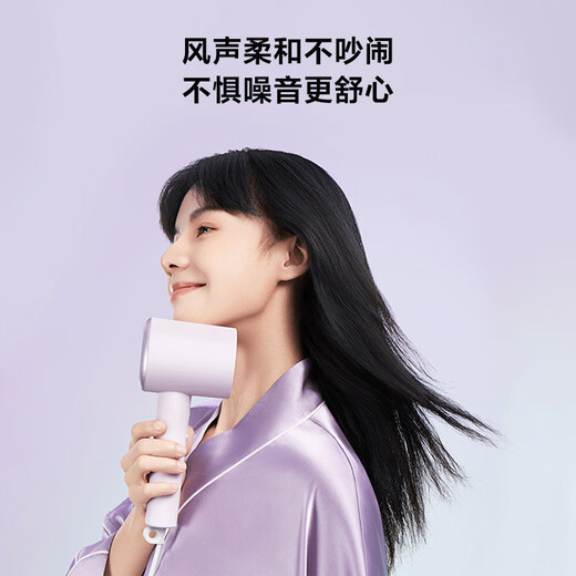 Mijia Xiaomi Negative Ion Hair Dryer H301 Quick-drying Hair Dryer Negative Ion Hair Care Circulating Nourishing Air Volume Gentle Hair Dryer Mijia Negative Ion Hair Dryer H301 Mist Purple