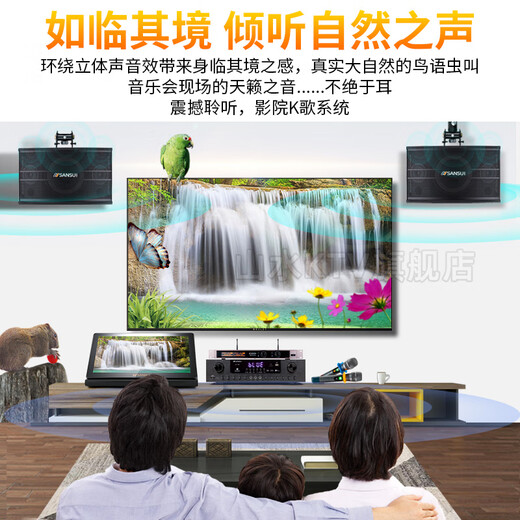 Shanshui (Sansui) 2024 Neues PK09 Professioneller KTV Audio Karaoke Conferen