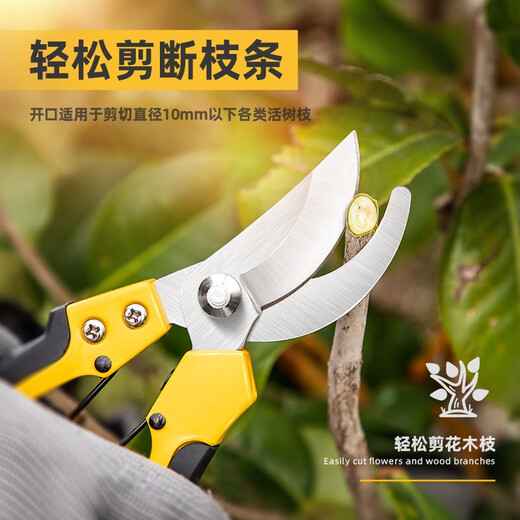 Deli fruit tree pruning scissors, garden flower pruners, branch scissors, thick flower scissors, gardening scissors tools, 8-inch stainless steel, curved mouth flower and tree shears DL2770