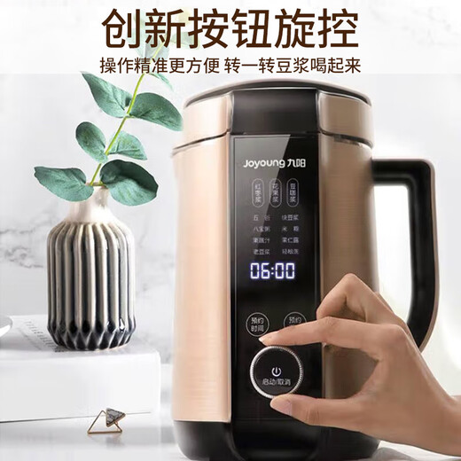 九阳（Joyoung）豆浆机1.3L破壁免滤2-5人食 家用多功能可预约榨汁机料理机破壁机DJ13E-Q8