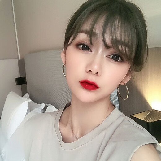Idel Hong Kong Style Earrings Fashion Earrings Korean Temperament Internet Celebrity Circle Personality Simple Cold Style Women 2025 Fashion Earrings Golden Korean Style E0016