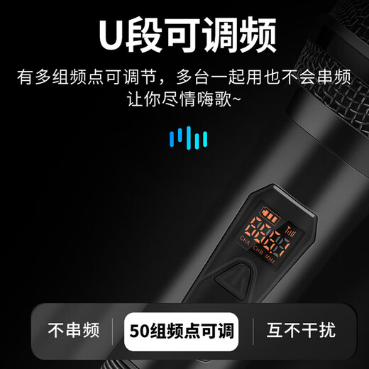 先科（SAST） 无线话筒一拖二家用唱歌卡拉OK会议室舞台ktv专业专用音响话筒全民k歌麦克风U段 OK-12双头戴 官方标配