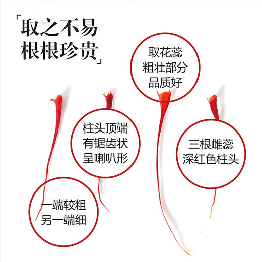 晶草 特级优品藏红花1g 伊朗进口西红花番红花全长红丝养生女神佳礼