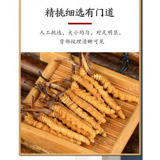 Cordyceps sinensis y té Cordyceps en el área nevada de Xiongfengdao Área tibetana 80 Piezas auténticas Cordyceps productos secos de 25 gramos Caja de regalo