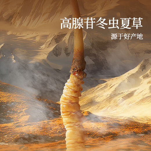 同仁堂品牌冬虫夏草10g断草自用高档补礼品高端礼物送父母长辈老人北京