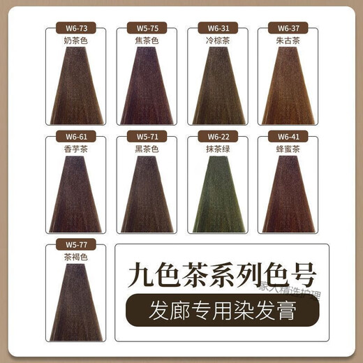 Haoxin Jiuse Tea Cair Salon Special Te teinture Special Cover Tide Couleur de couleur blanche Couleur multi-segment Couleur simple Couleur Coiffure Dyeing Pâte 100g W673 Couleur de thé au lait 10