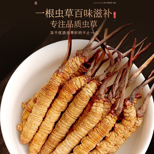 Fudonghai Cordyceps Boîte-cadeau 4 grammes Sélectionnez des cadeaux cadeaux de Cordyceps séchés de haute qualité pour les aînés [Boîte-cadeau rouge traditionnelle] 4-5 pièces / g 50 grammes d'herbe entière
