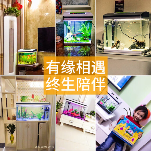 Changrui Ecological Small Fish Tank Small Aquarium Living Room Desktop Water-Change-Free Goldfish Tank M360 Standard