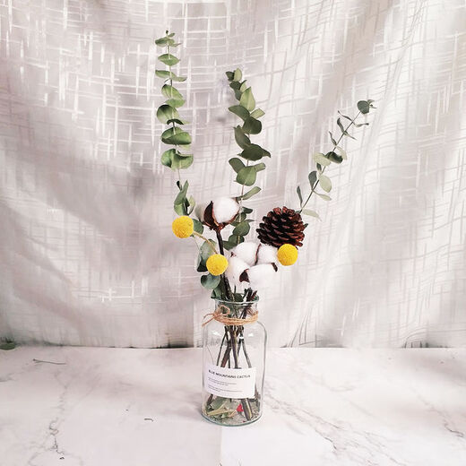 AIMAN dried flowers eucalyptus leaves Nordic style ins Nordic style small fresh living room ornaments diy home decoration ornaments SN strawberry fruit red 20 pieces without bottle