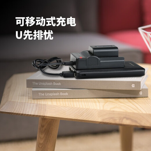 沣标（FB）索尼手持DV摄像机锂电池适用AX700/60/45/30 CX680/610 PJ675座充充电器 锂电池充电器（单槽充）