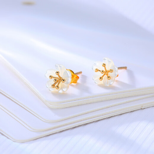 Chao Acer CHJJEWELLERY 18K gold colored gold earrings for women EEK34200058