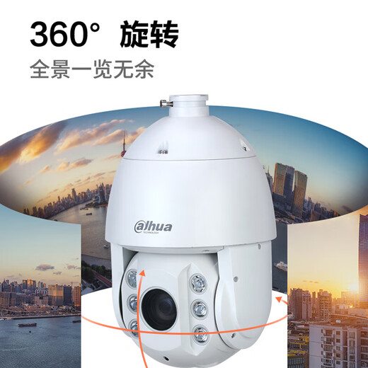 dahua大华200万网络高速球机变焦变倍高清监控摄像头室户外360度全景云台旋转全彩夜视 DH-SD6225-A-PV-i声光警戒球 全国联保
