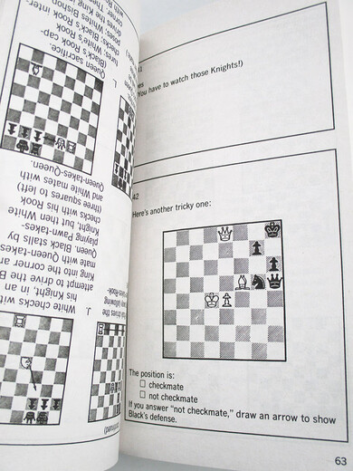 Bobby Fischer Teaches Chess 英文原版 鲍比菲舍尔教授国际象棋 教程书籍 英文版 进口英语原版书