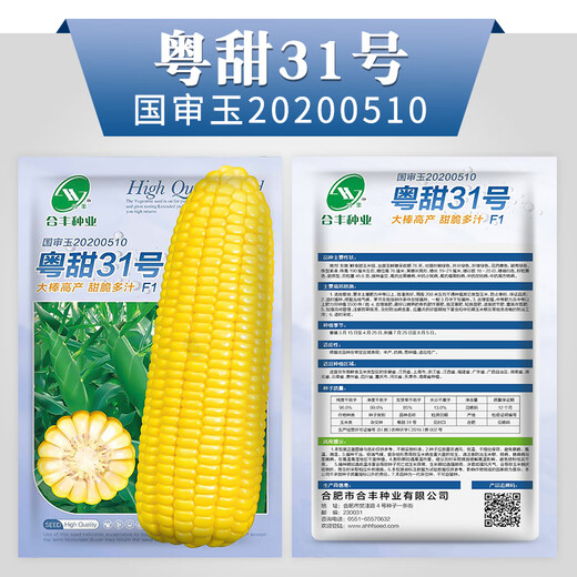 GJXBP раннеспелые гибридные семена полевой кукурузы Zhengdan 958, корм для семян, семена фруктовой кукурузы, кукуруза Guangdong Sweet 31, 100 г, оригинальное национальное одобрение
