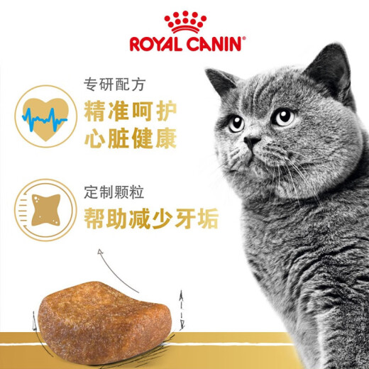 Royal cat food British short adult cat food BS34 general food 12 months and above 2KG