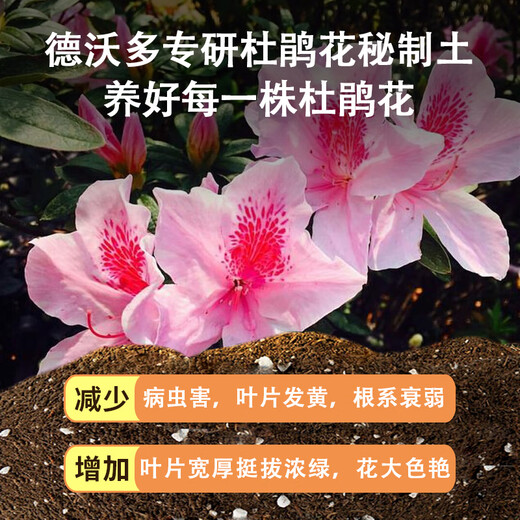 Devodo azalea special nutrient soil 15L gardening green plant potted flower growing soil vegetable soil organic plant material planting soil