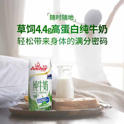 Anchor Anchor 4.4g high protein pure milk 24X250ml original box