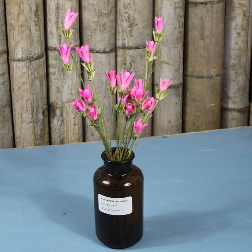 AIMAN Yunnan dried flower bouquet natural real flowers octagonal flower magnolia flower small lily living room decoration soft furnishing matching yellow (1 bouquet of 30 flowers free of charge)