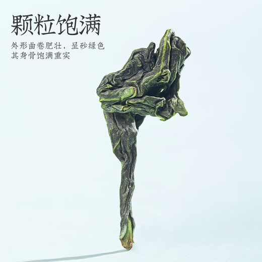 福茗源茶叶乌龙茶 安溪铁观音 特级清香2025新茶叶礼盒512g茶叶自己喝