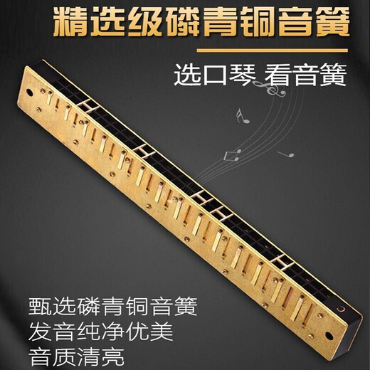 Guoguang Shanghai Guoguang eintägige Doppelreihe-Harmonika 28-Loch