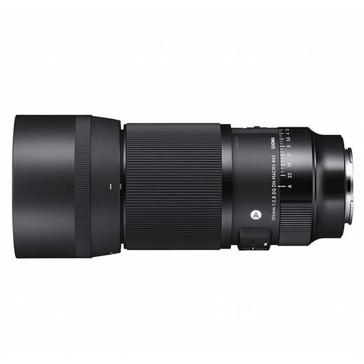SIGMA 105mm F2.8 DG DN Macro full-frame mirrorless camera macro lens L mount