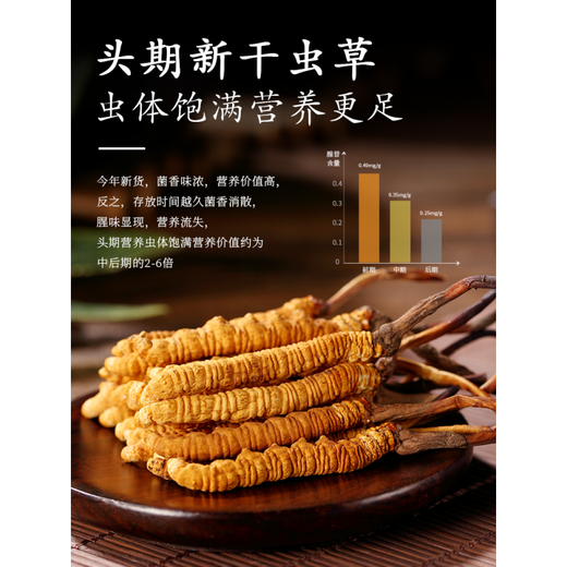 Cordyceps sinensis y té Cordyceps en el área nevada de Xiongfengdao Área tibetana 80 Piezas auténticas Cordyceps productos secos de 25 gramos Caja de regalo