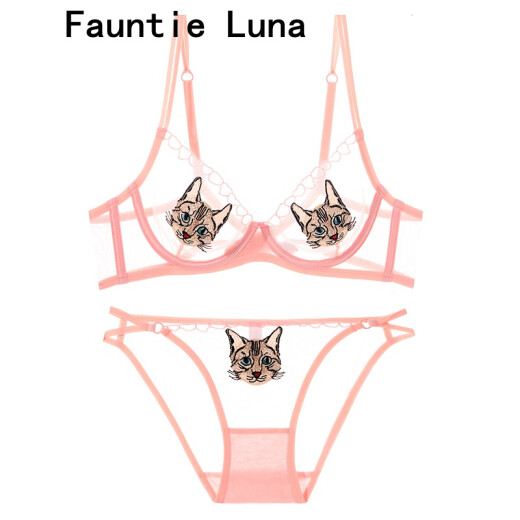 FauntieLuna spring and summer sexy ultra-thin cute anime cat underwear no sponge lace push-up bra set female gray bra + panties 70A